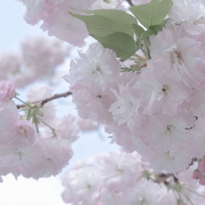 Furry插画氛围营造干货FurryQQ群